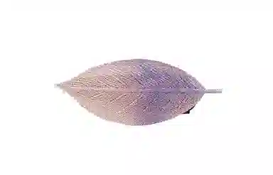 CHIMERA Embroidered Leaf Hair Clip