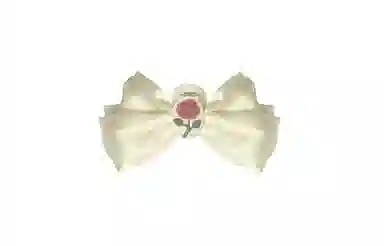 NG NATURAL GEMS 2023