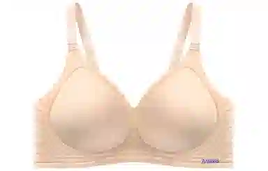 二三二三 纯色聚拢无痕小胸显大杯无钢圈文胸 女款