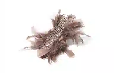 白卷 优雅时尚后脑勺盘发羽毛发夹 大号鲨鱼夹 女款 闺蜜款