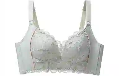 二三二三 植物花卉简约舒适无钢圈收副乳文胸 女款