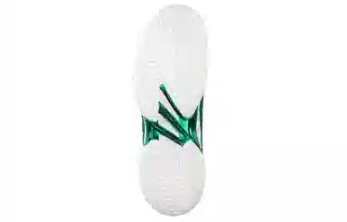 Asics Court FF Novak