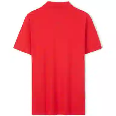 Tommy Hilfiger Polo