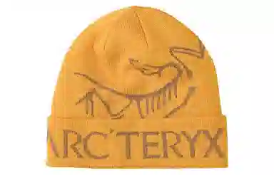 Arcteryx Beanie