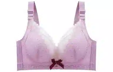 二三二三 聚拢调整型蕾丝简约舒适文胸 女款