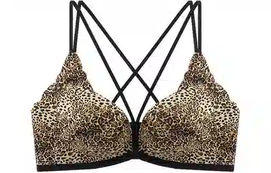 二三二三 豹纹前扣小胸聚拢无痕美背文胸 女款