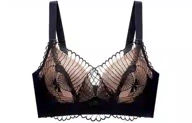 二三二三 聚拢上托防下垂无钢圈文胸 女款