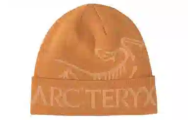 Arcteryx Beanie