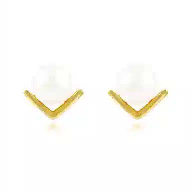 V S925