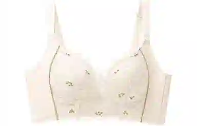 二三二三 植物花卉简约舒适无钢圈收副乳文胸 女款