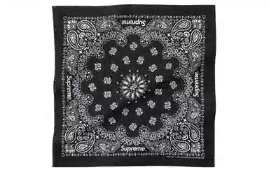 Supreme HAV-A-HANK BANDANAS
