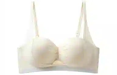 二三二三 小胸聚拢显大收副乳防下垂上托无痕调整型无钢圈文胸 女款