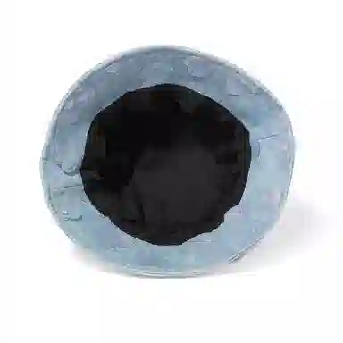 Clect