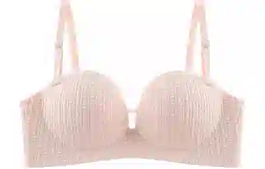 二三二三 小胸聚拢显大可拆卸隐形防滑无痕文胸 女款