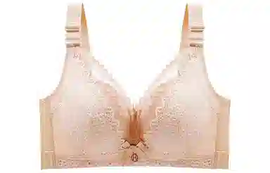 二三二三 聚拢调整型蕾丝简约舒适文胸 女款