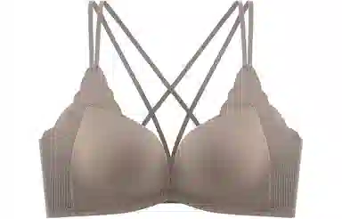 二三二三 豹纹前扣小胸聚拢无痕美背文胸 女款