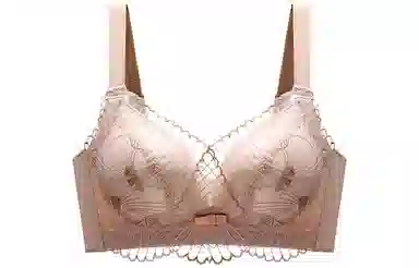 二三二三 聚拢上托防下垂无钢圈文胸 女款