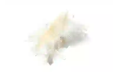 白卷 优雅时尚后脑勺盘发羽毛发夹 大号鲨鱼夹 女款 闺蜜款