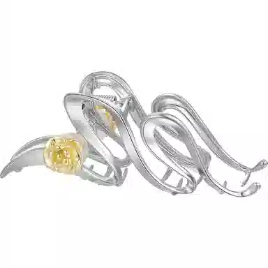 秦福炫 大号抓夹 后脑勺高级感 夹夹子头饰 发夹 女款