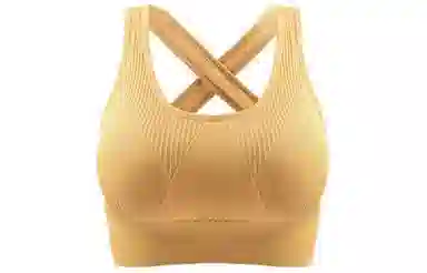 二三二三 纯色防震防下垂聚拢交叉美背文胸 女款