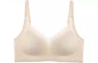 二三二三 小胸聚拢无钢圈提拉上托收副乳防下垂文胸 女款