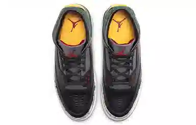 Jordan Air Jordan 3 Retro SE "Animal Instinct 2.0"
