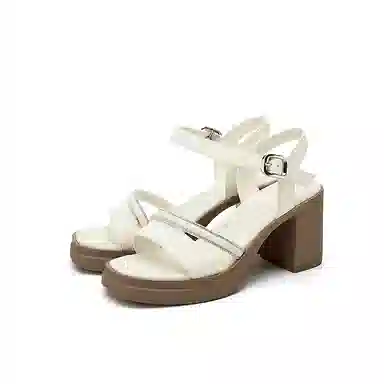 DAPHNE PU 8cm