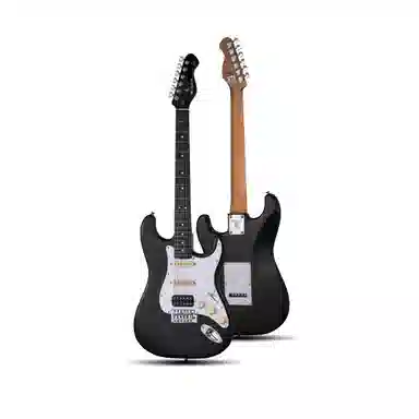 MOOER () MSC10 Pro 22