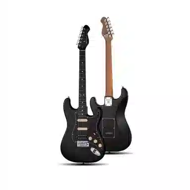 MOOER () MSC10 Pro 22