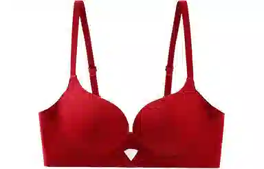 二三二三 小胸聚拢上托无痕防下垂无钢圈收副乳美背文胸 女款