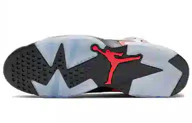 Jordan Air Jordan 6 Retro "Reflections of a Champion"
