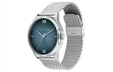 CKCalvin Klein 43mm 30