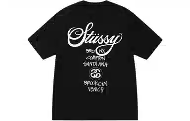 Stussy SS24 LogoT