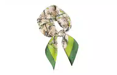 纳兰杜 小众设计感气质小方巾精致百搭高级感法式穿搭减龄 桑蚕丝 丝巾 女款 绿色 礼盒装