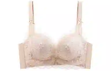 二三二三 植物花卉蕾丝防下垂收副乳聚拢文胸 女款