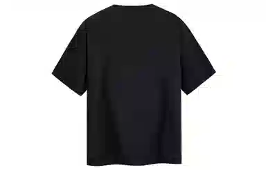 ICONS Lab T