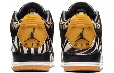 Jordan Air Jordan 3 Animal Instinct