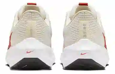 Nike Air Zoom Pegasus 40