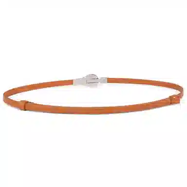 ins 1cm