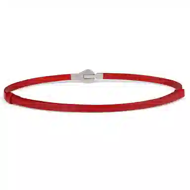 ins 1cm