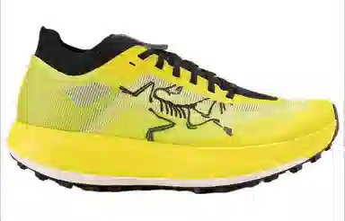 Arcteryx SYLAN PRO