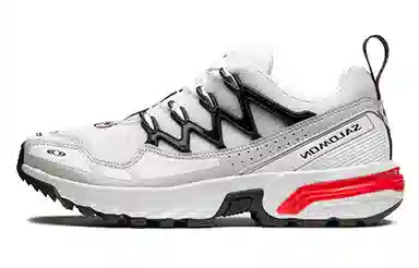 Salomon ACS+ Silver White
