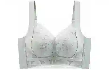 二三二三 薄款小胸聚拢显大提拉无钢圈抗菌美背蕾丝文胸 女款