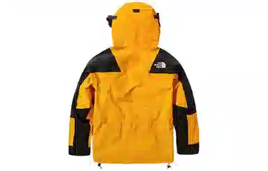 THE NORTH FACE Retro Mountain Light Futurelight
