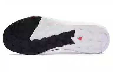 Salomon S/LAB ALPINWAY White