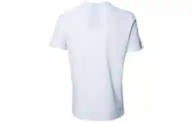 Champion T