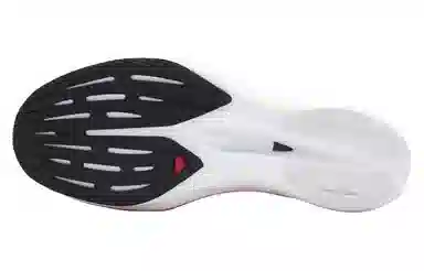 SALOMON