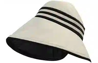 Cranta Komeia