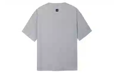ICONS Lab T