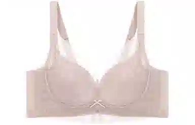 二三二三 蕾丝聚拢薄款大胸显小上托防下垂文胸 女款